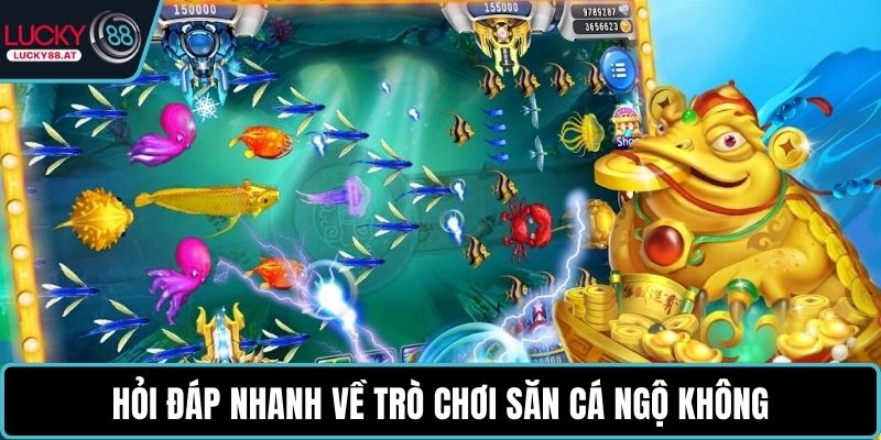 Hỏi đáp nhanh về trò chơi săn cá Ngộ Không