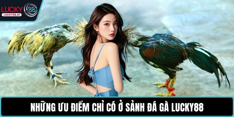 Những ưu điểm chỉ có ở sảnh đá gà LUCKY88