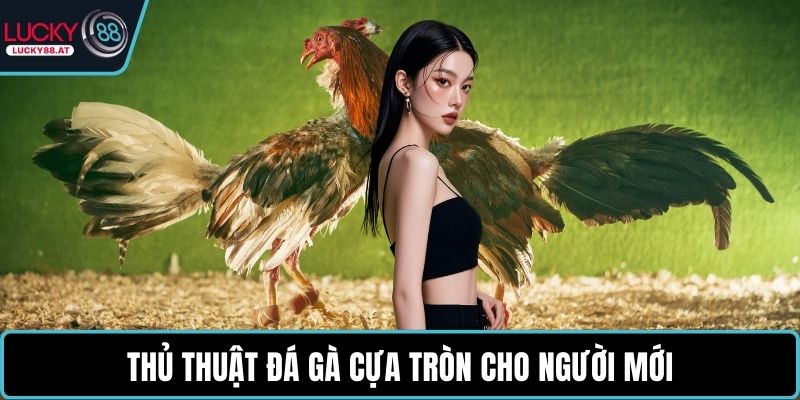 Thủ thuật đá gà cựa tròn cho người mới